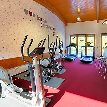 Vz Merin 3* Stechovice (Central Bohemian)